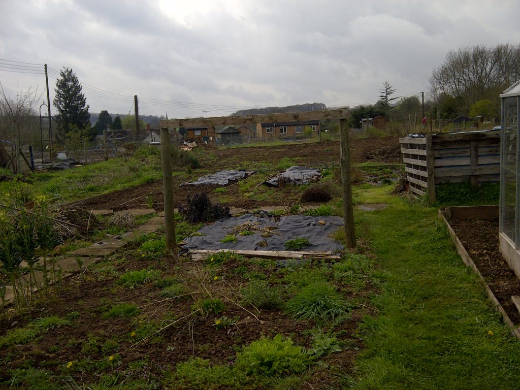 The allotment before we started