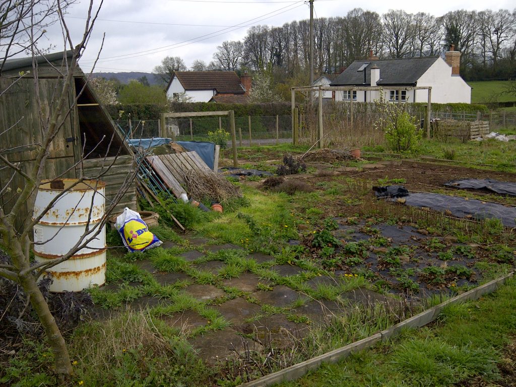 The allotment before we started