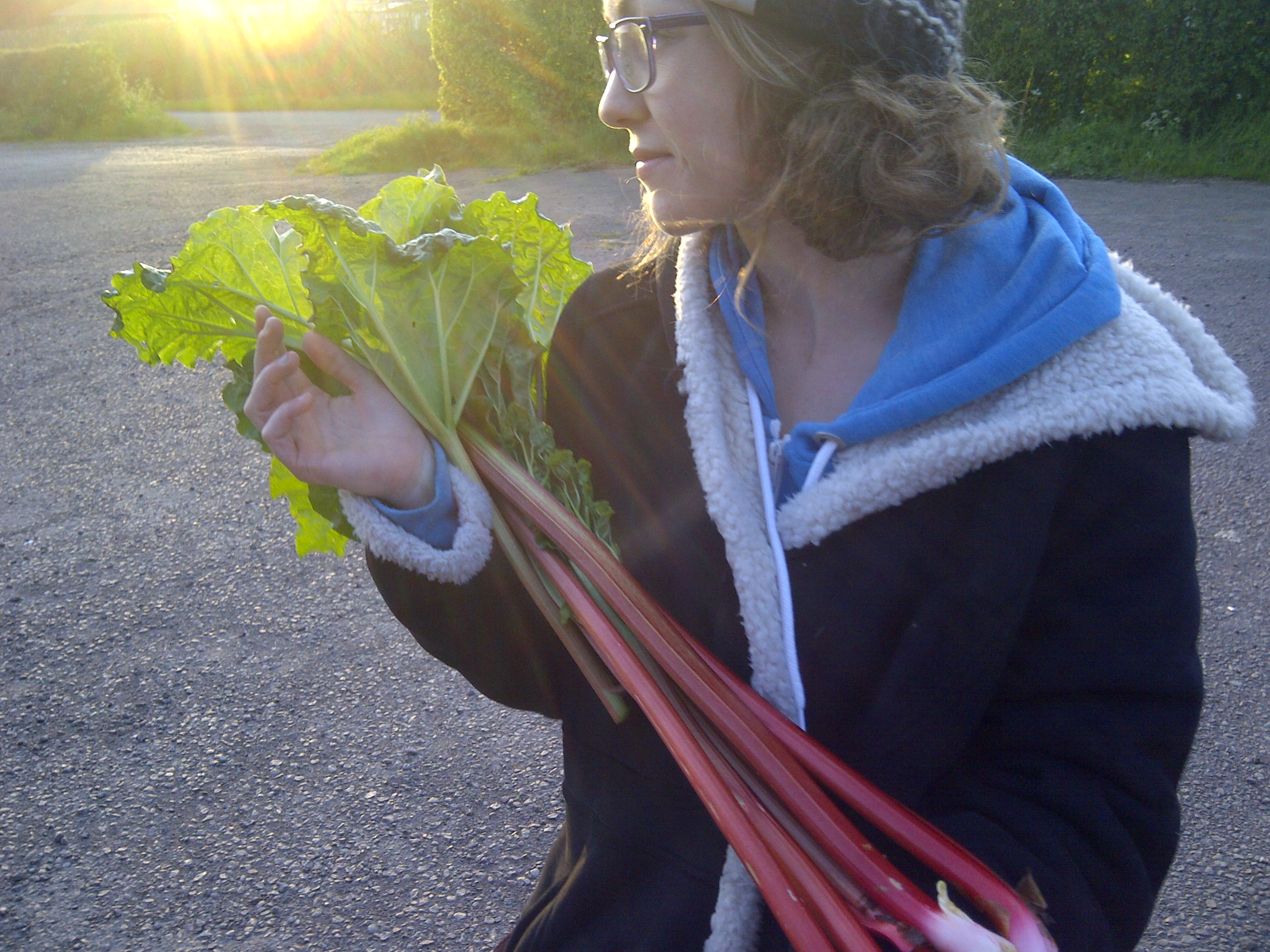 Lucy and the rhubarb