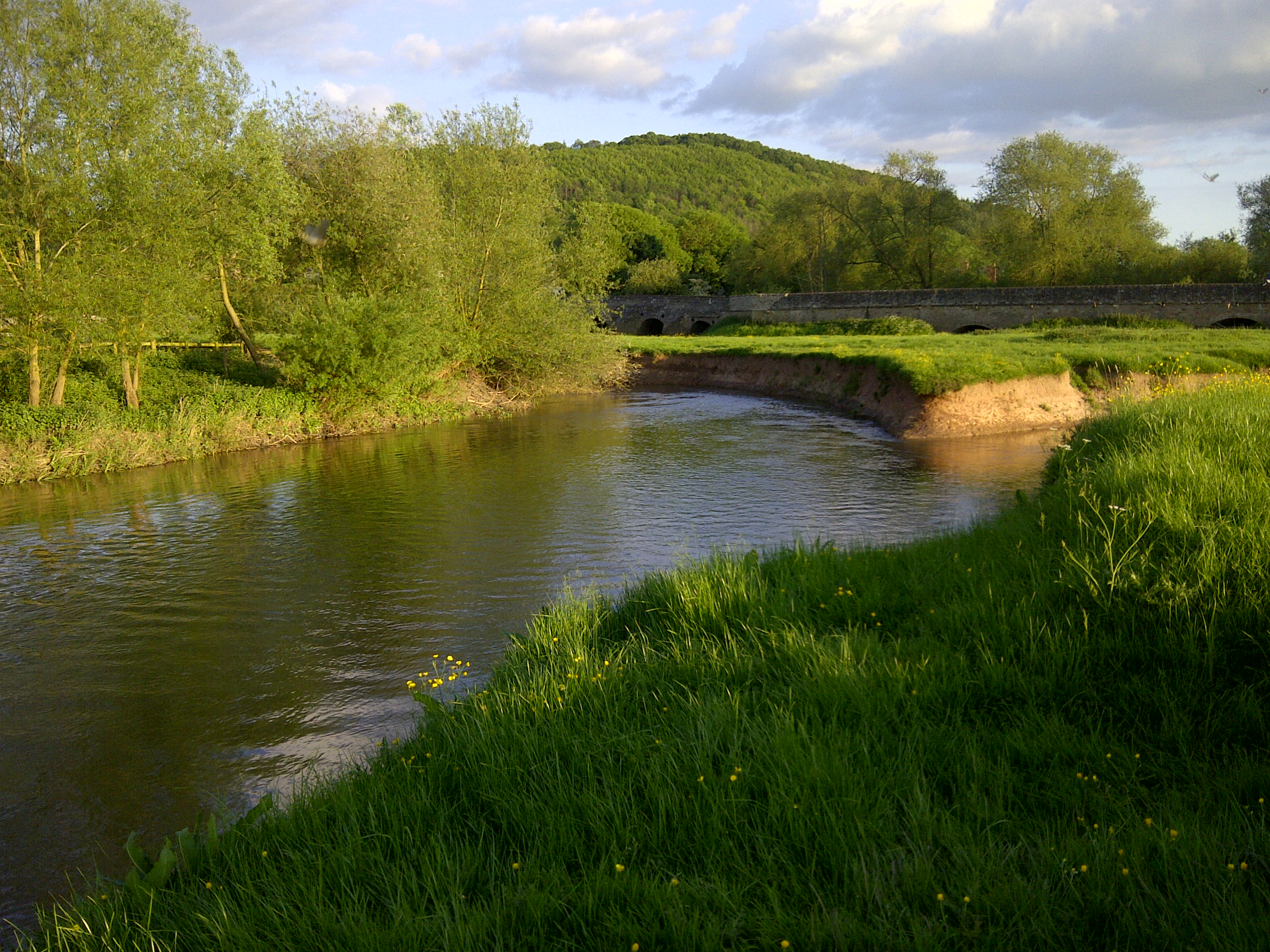 River swimming at Mordiford