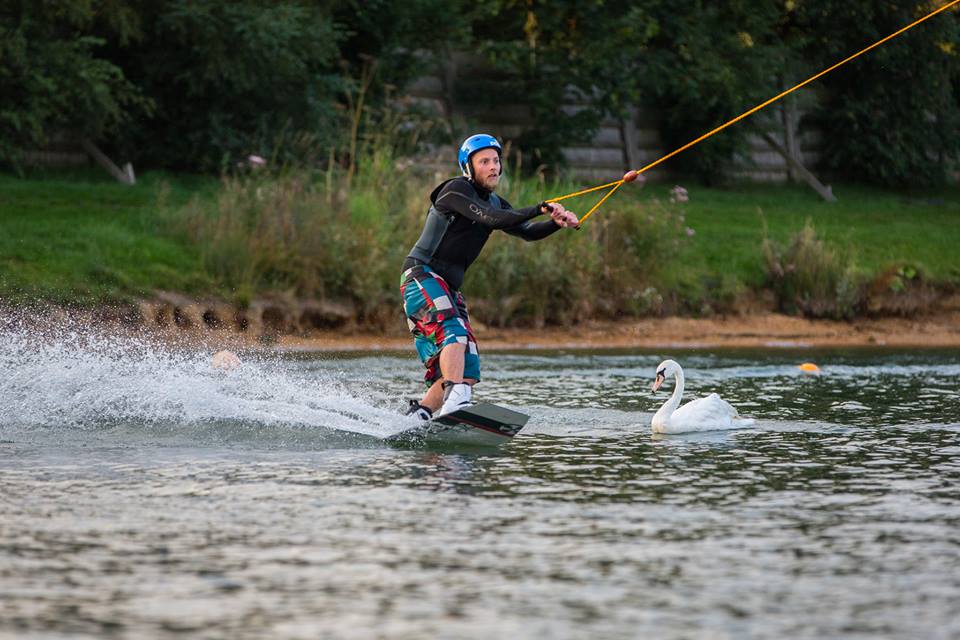 Wakeboarding round a swan