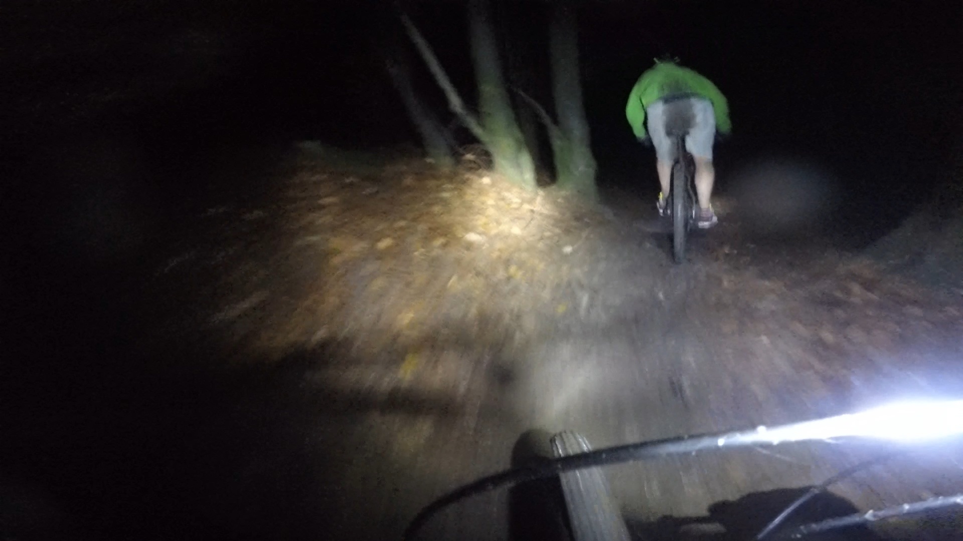 night riding in the forest of dean